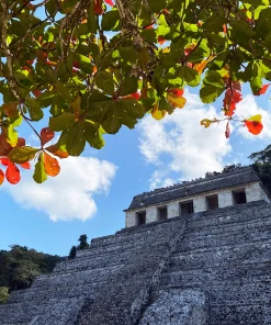 ¡Visita la zona arqueológica más fascinante de Chiapas, Palenque!