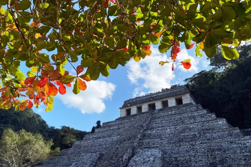 ¡Visita la zona arqueológica más fascinante de Chiapas, Palenque!