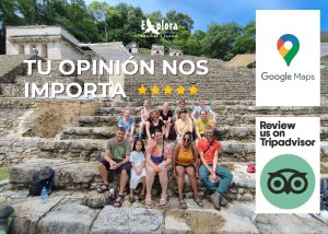 Comparte tu experiencia en Ecochiapas 1